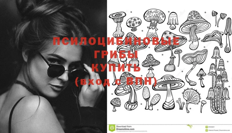 Псилоцибиновые грибы мухоморы  Гурьевск 